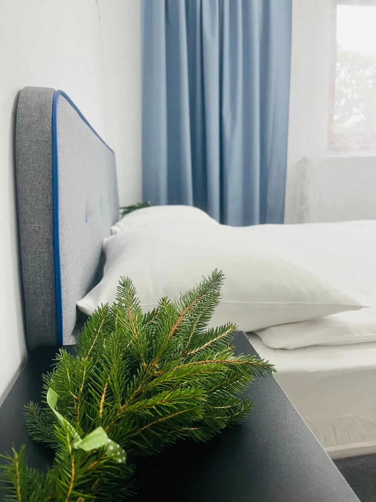 Pensiunea Guest House La TaTa Neagra Șarului – Neagra Șarului, România