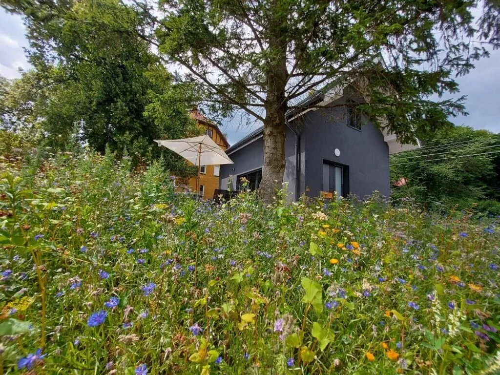 Domek Bryziówka Miłków - foto 9