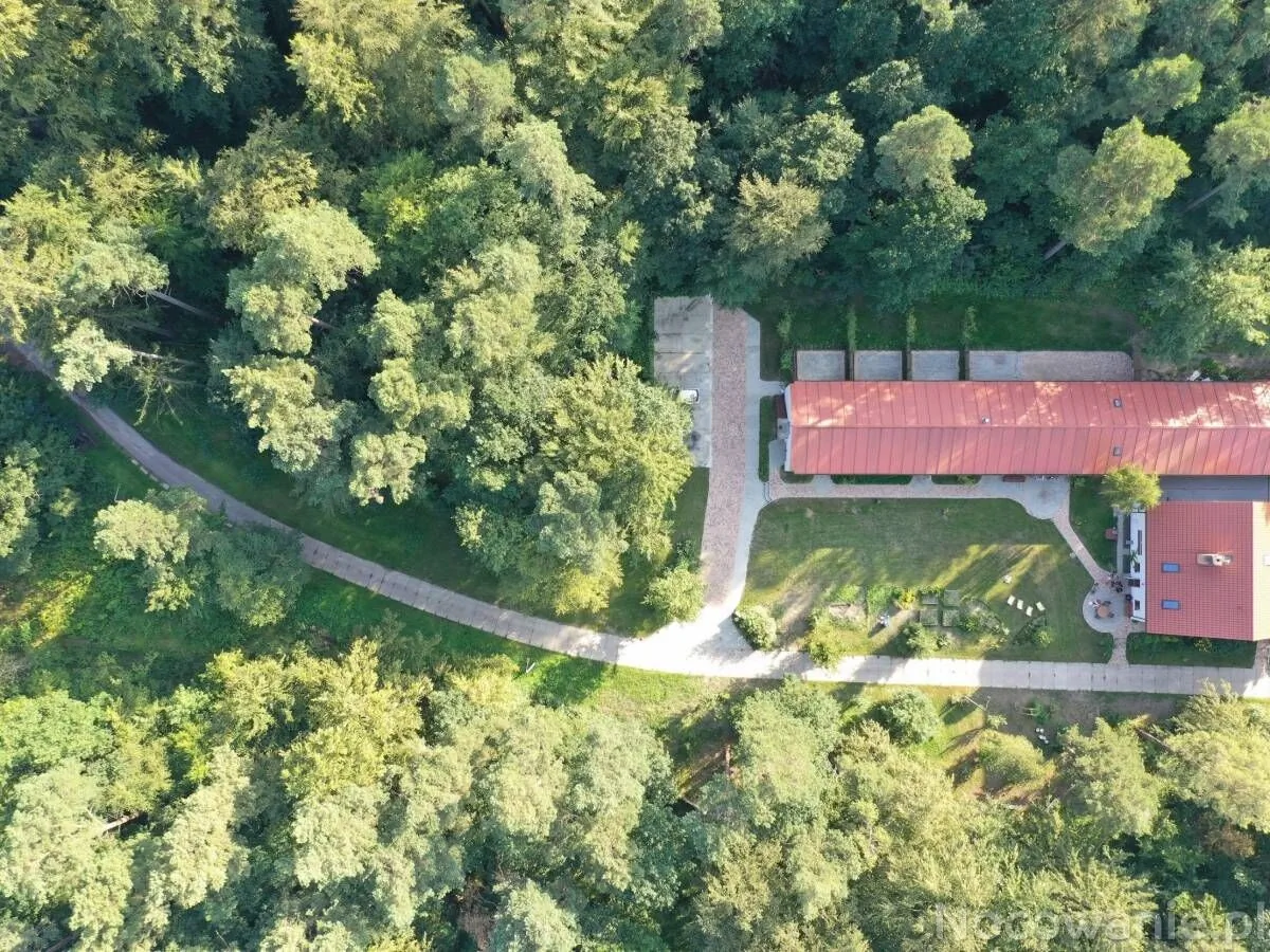 Agroturystyka w Lesie Gdańsk Dzierżążno – Dzierżążno, Polska
