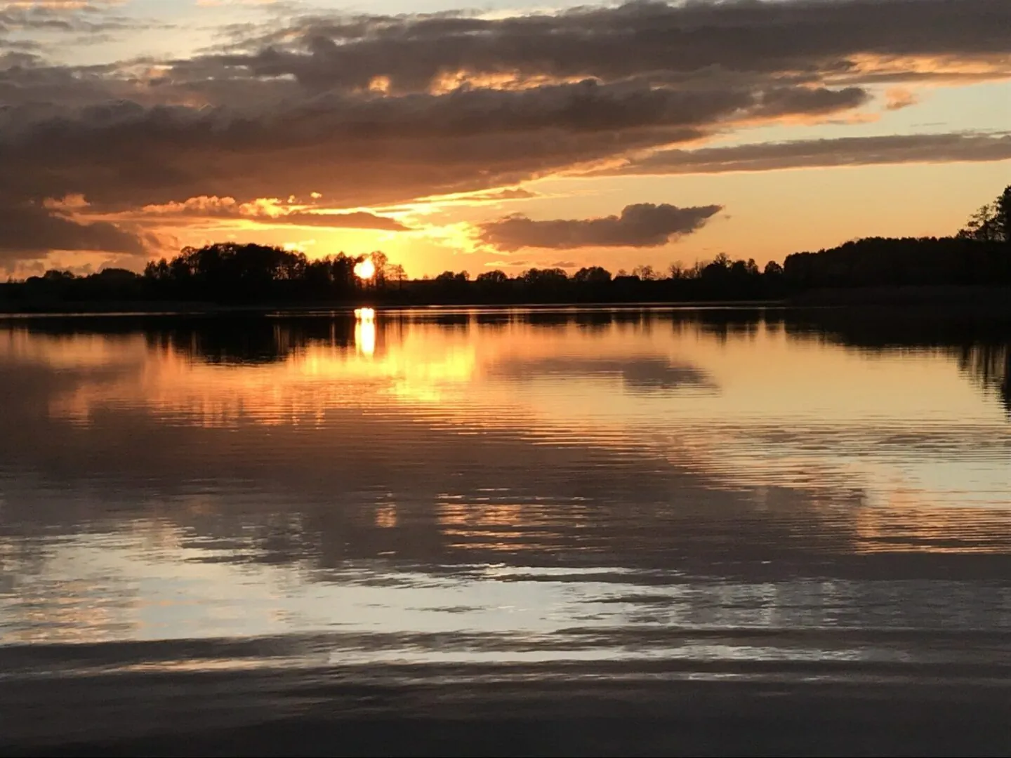 Cisy Resort - dla gości ze zwierzętami, teren na wyłączność – Krzywe, Polska