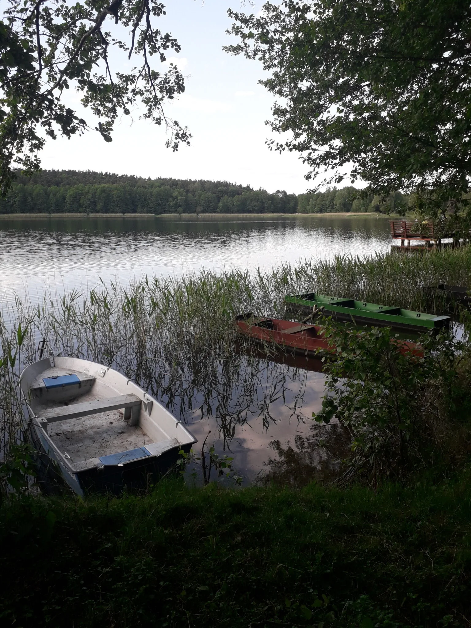 Apartament całoroczny u Grzegorza Lidzbark – Lidzbark, Polska
