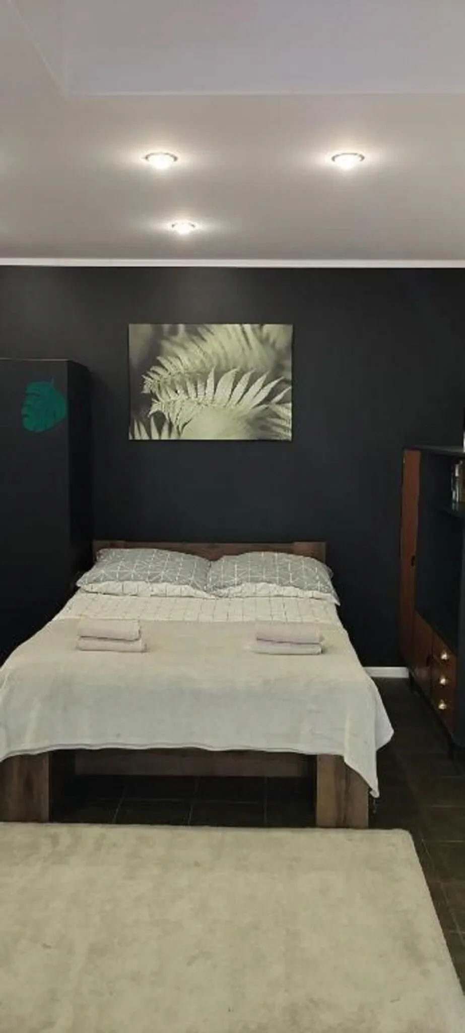 Apartament u Hani Łódź - foto 1