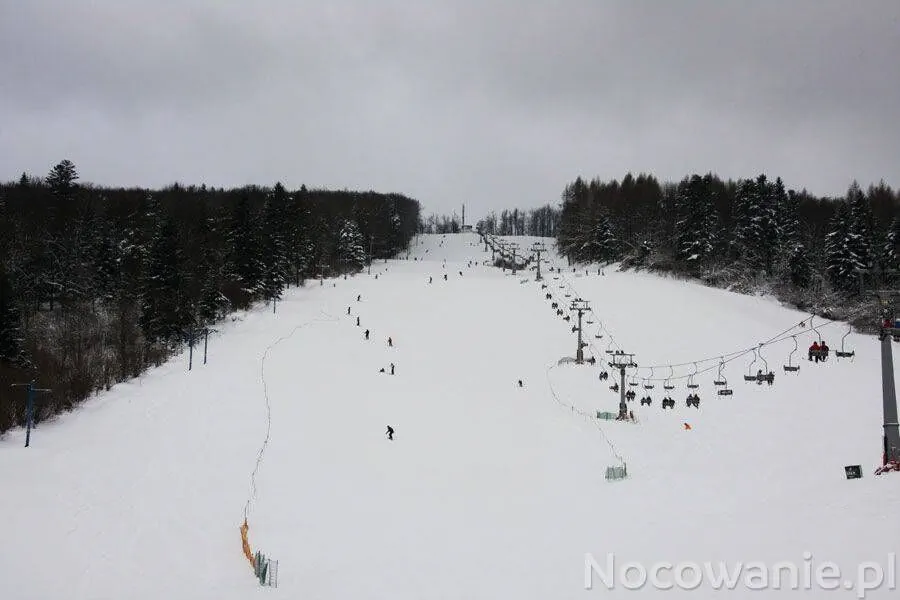 Villa Neve Ustrzyki Dolne - foto 1