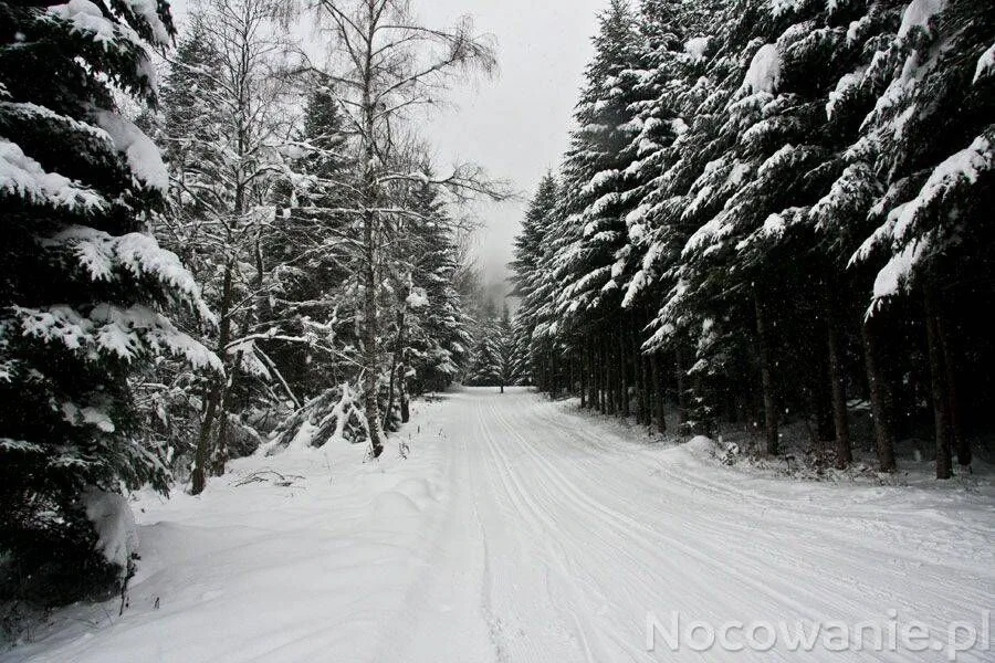 Villa Neve Ustrzyki Dolne - foto 4