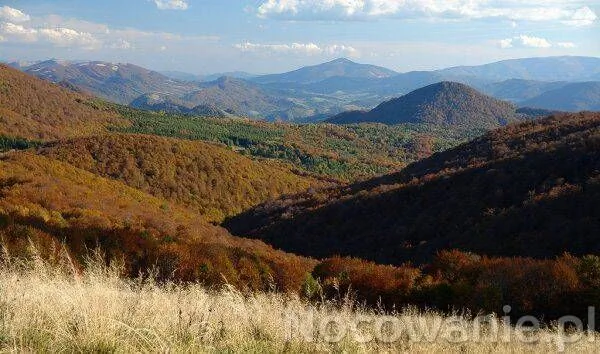 Villa Neve Ustrzyki Dolne - foto 5