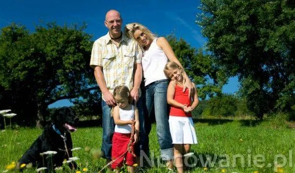 Villa Neve Ustrzyki Dolne - foto 6