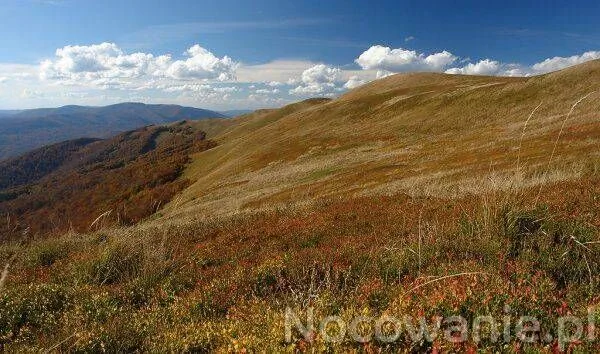 Villa Neve Ustrzyki Dolne - foto 8