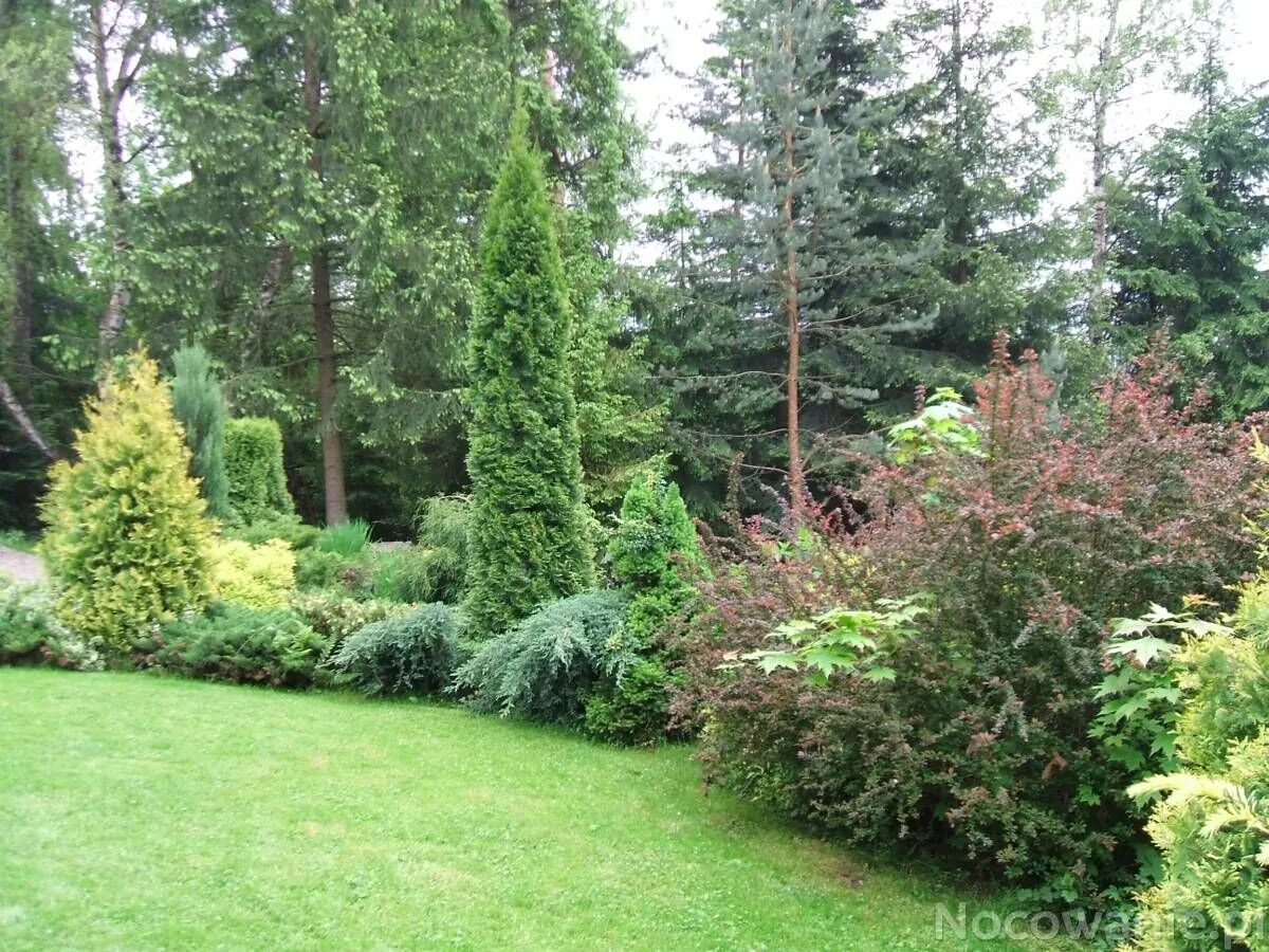 Willa Na Bani Rabka-Zdrój – Rabka-Zdrój, Polsko