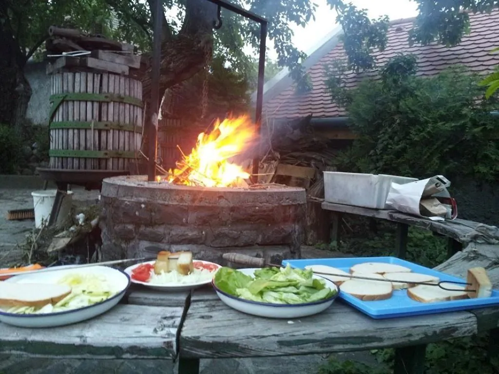 Nandi Magdi Vendégház Gyöngyöspata – Gyöngyöspata, Ungaria