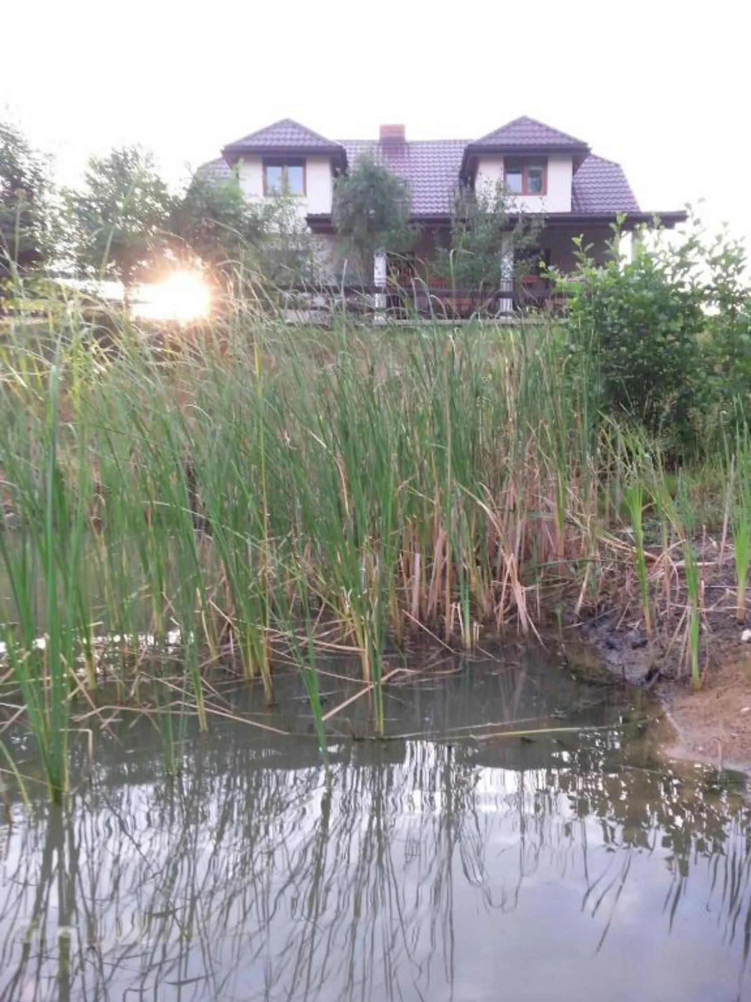 Gospodarstwo agroturystyczne Biebrzanska Goscina Karczewo - foto 10