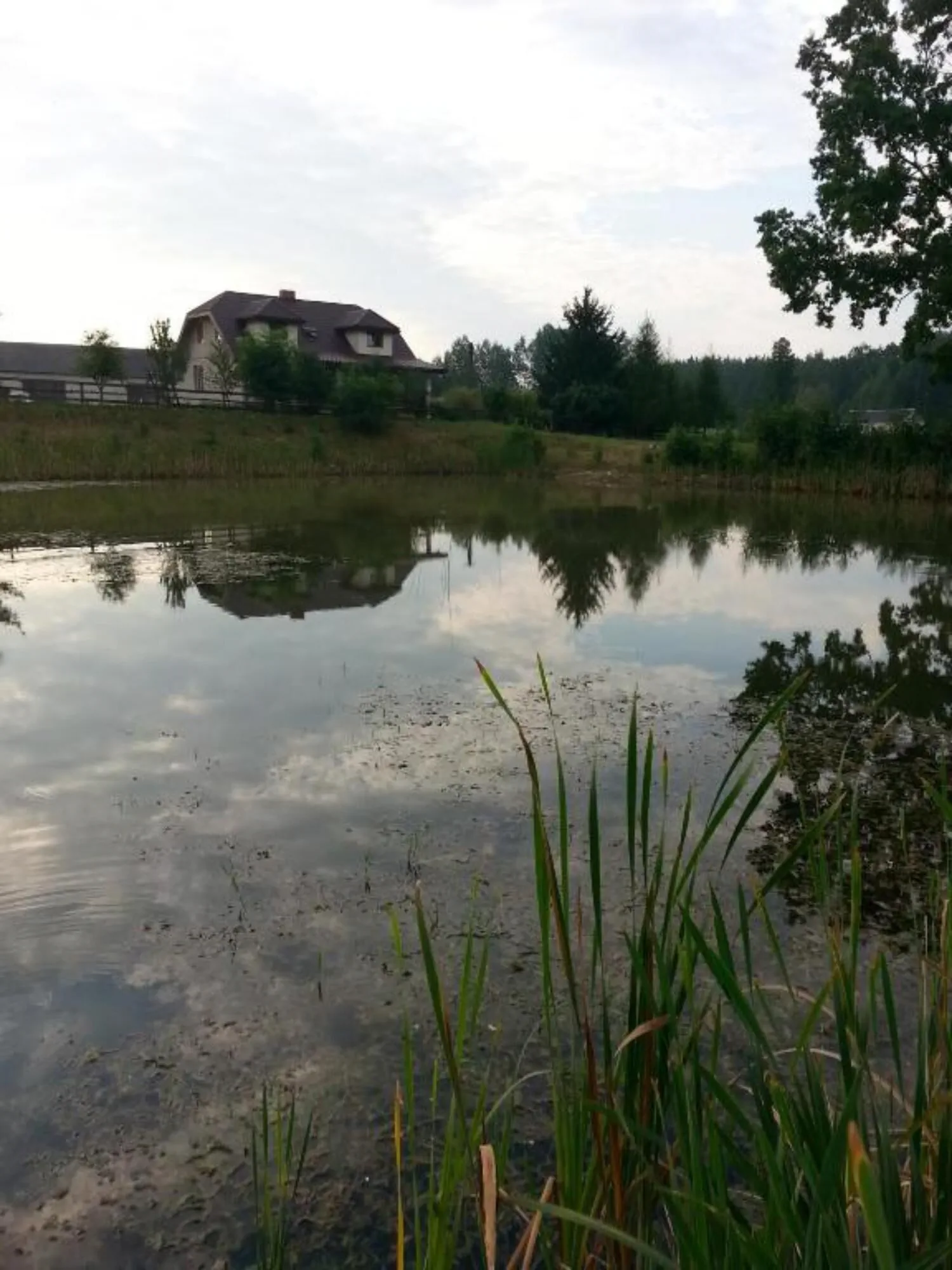 Gospodarstwo agroturystyczne Biebrzanska Goscina Karczewo - foto 7