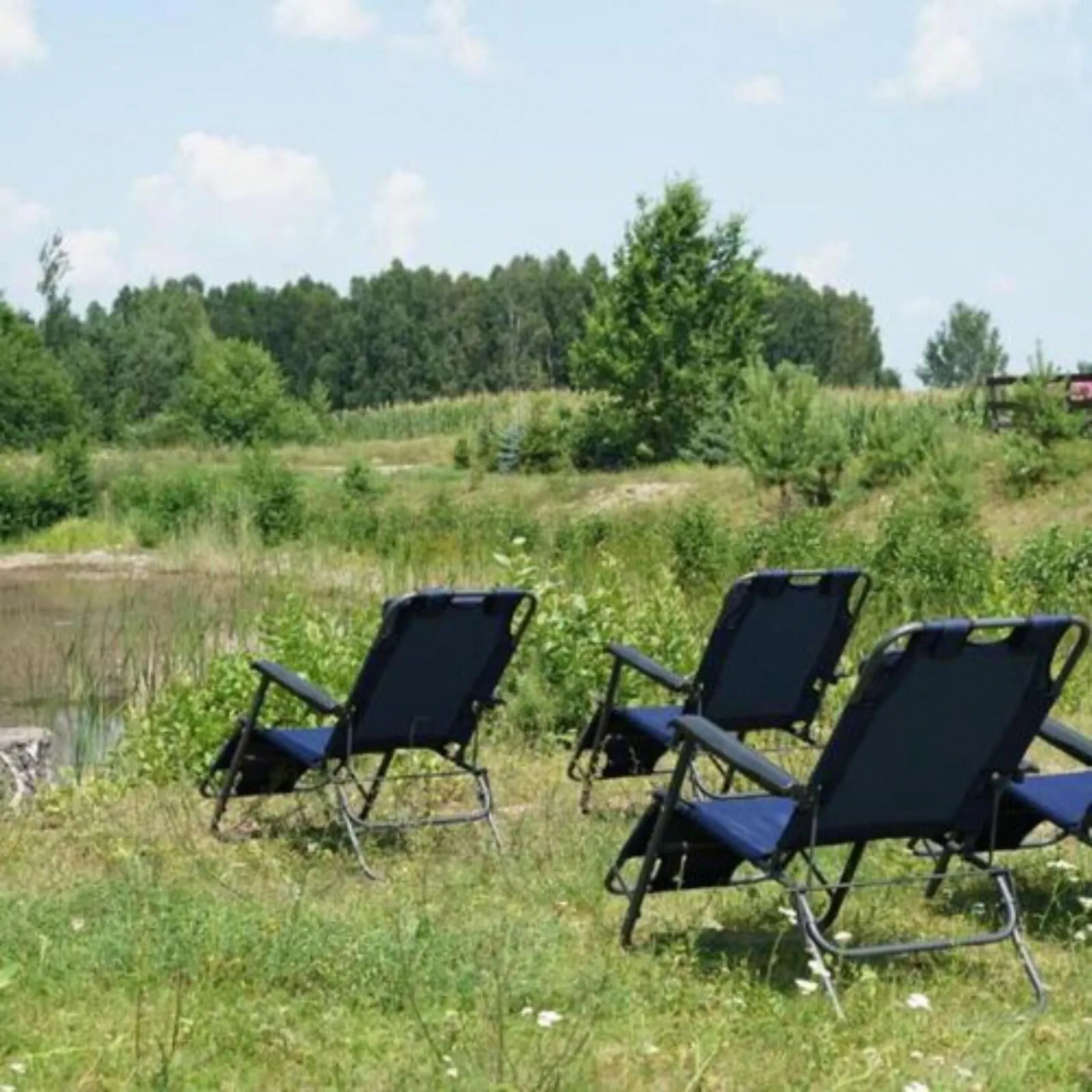 Gospodarstwo agroturystyczne Biebrzanska Goscina Karczewo - foto 3