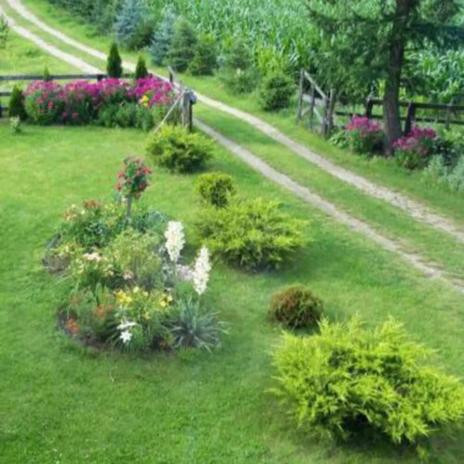 Gospodarstwo agroturystyczne Biebrzanska Goscina Karczewo - foto 4