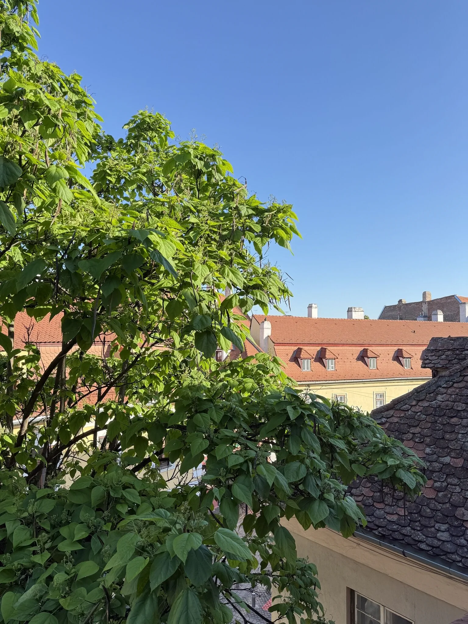 Casa Weidner Sibiu – Sibiu, România
