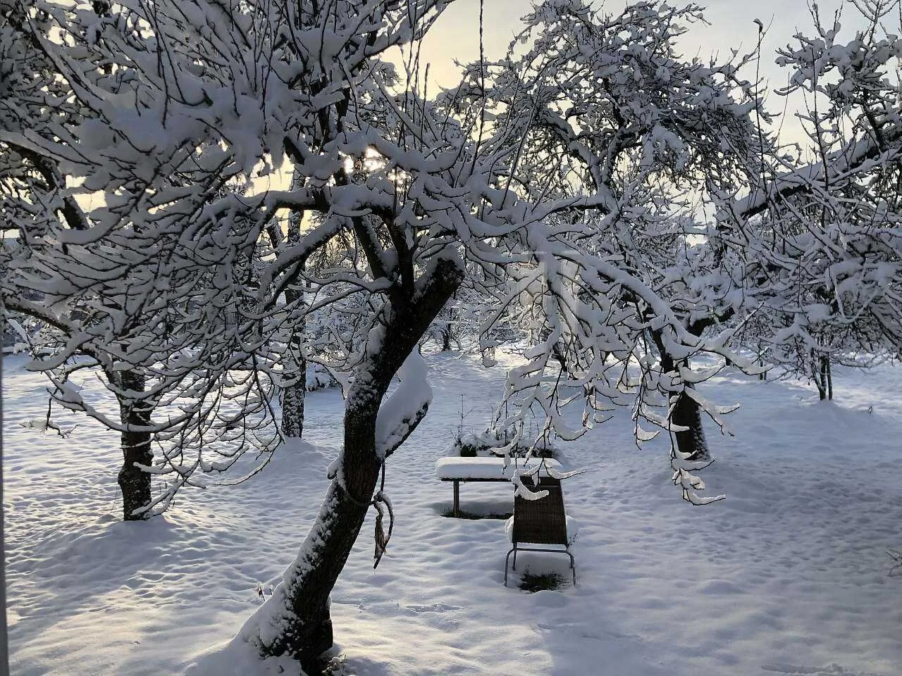 Šafářův statek Hrachoviště - foto 4