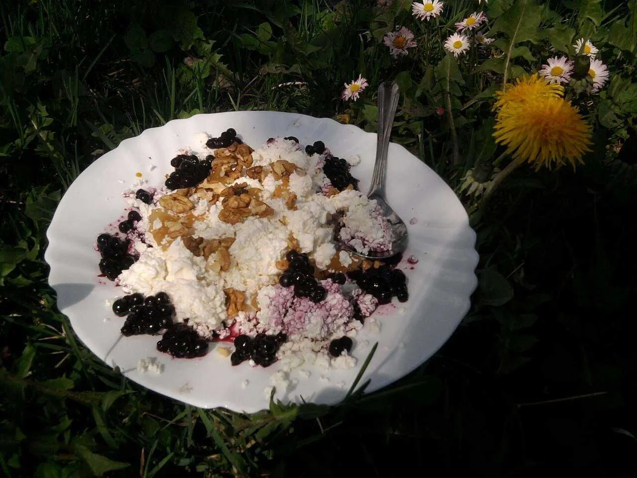 Šafářův statek Hrachoviště - foto 9