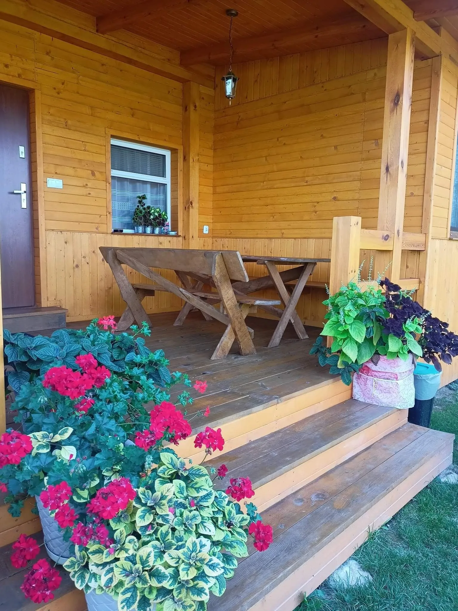 Brzozowy Gaj Orzechów Kolonia - foto 8