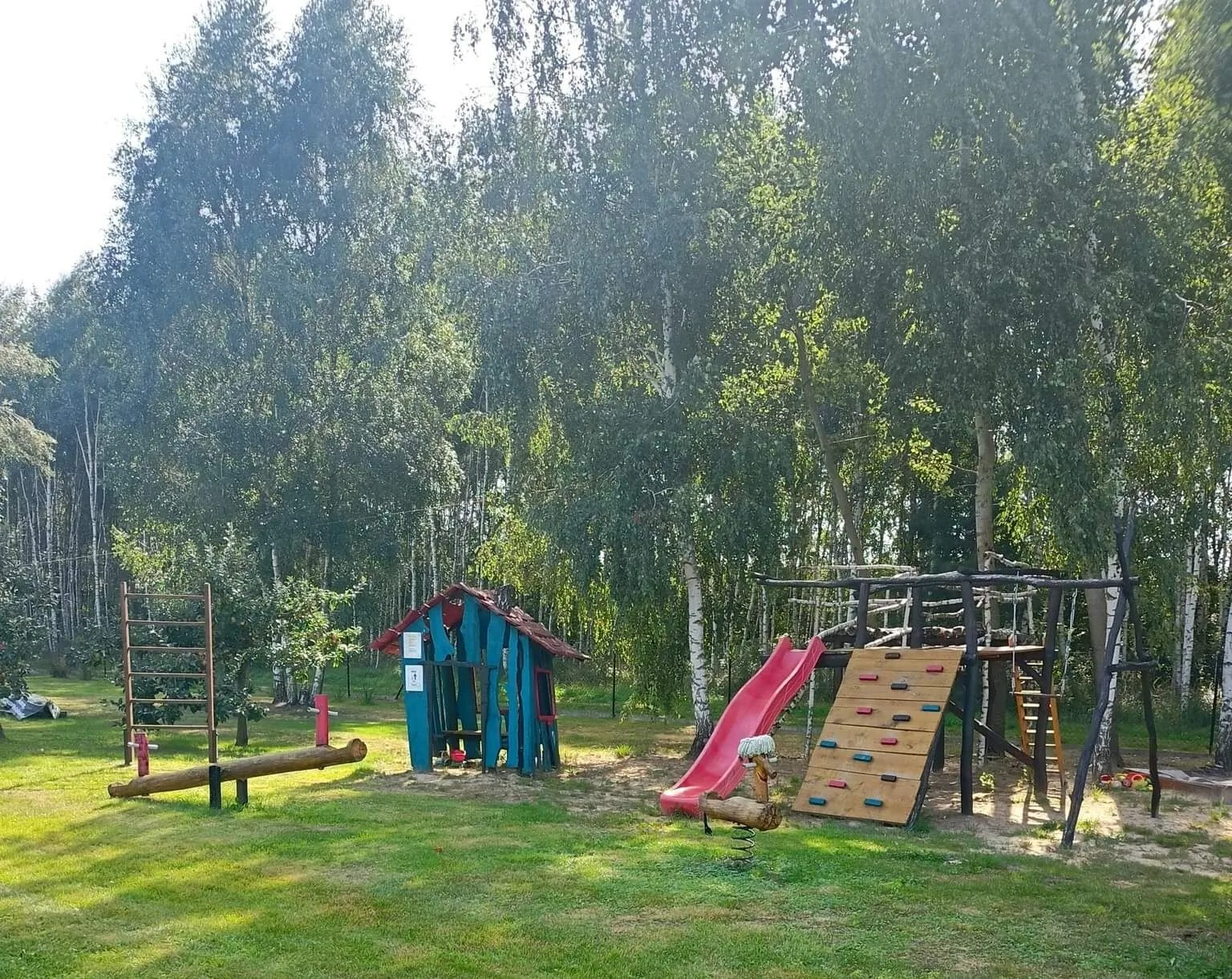 Brzozowy Gaj Orzechów Kolonia - foto 5
