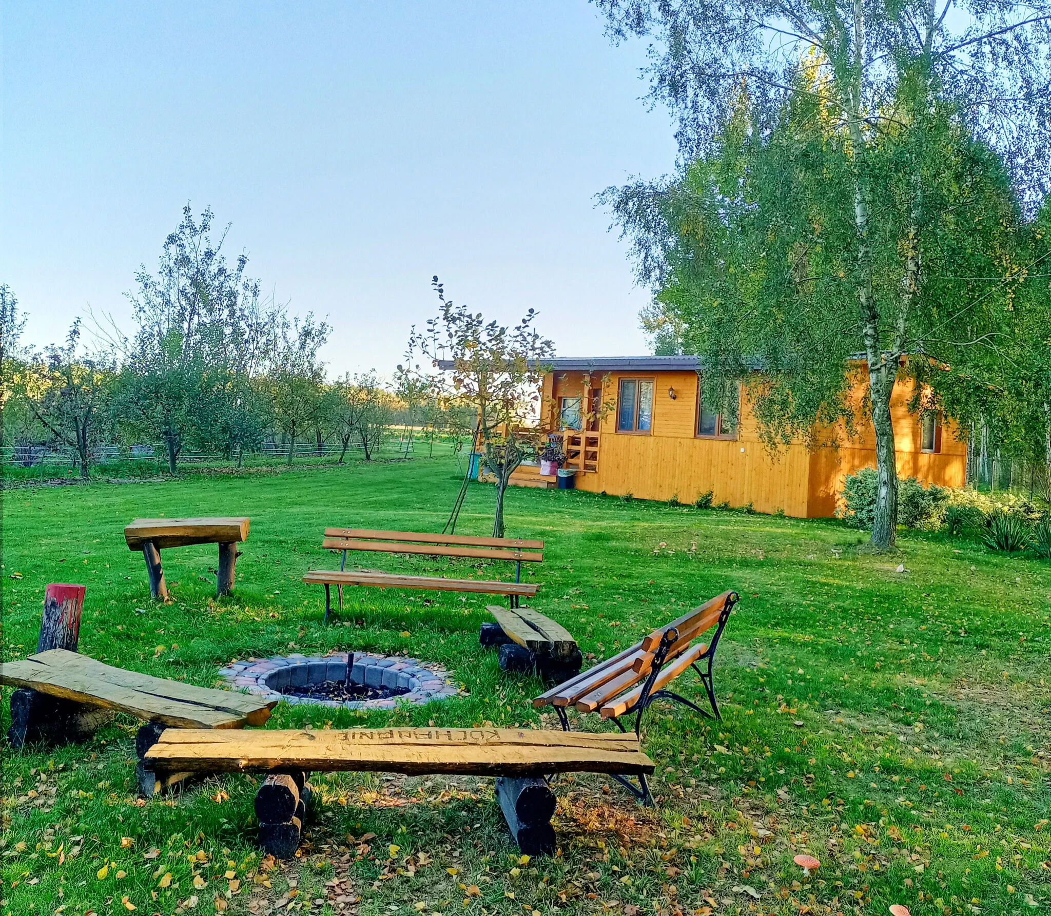Brzozowy Gaj Orzechów Kolonia - foto 1