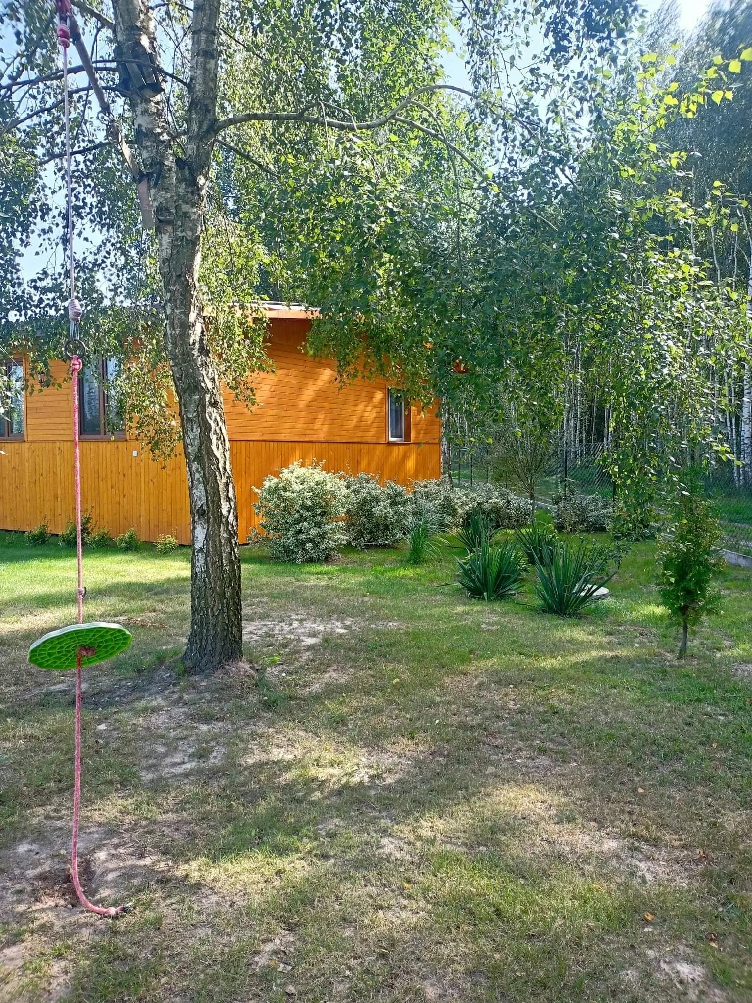 Brzozowy Gaj Orzechów Kolonia - foto 10