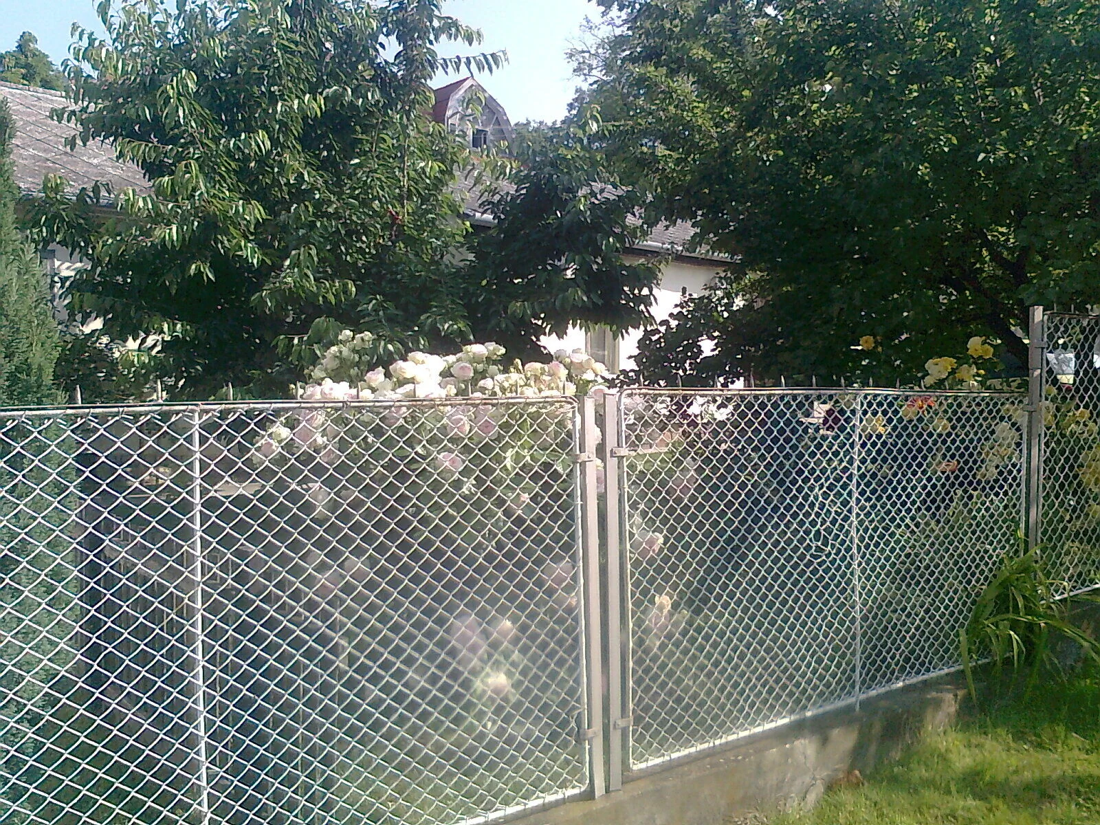 Smaragd Villa Balatonboglár – Balatonboglár, Ungaria