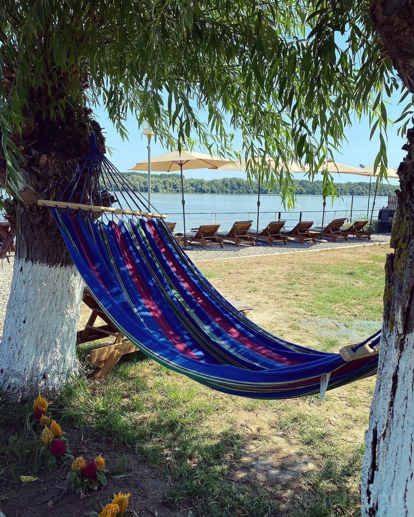 Pensiunea Laguna Bălteni Băltenii de Sus - foto 2