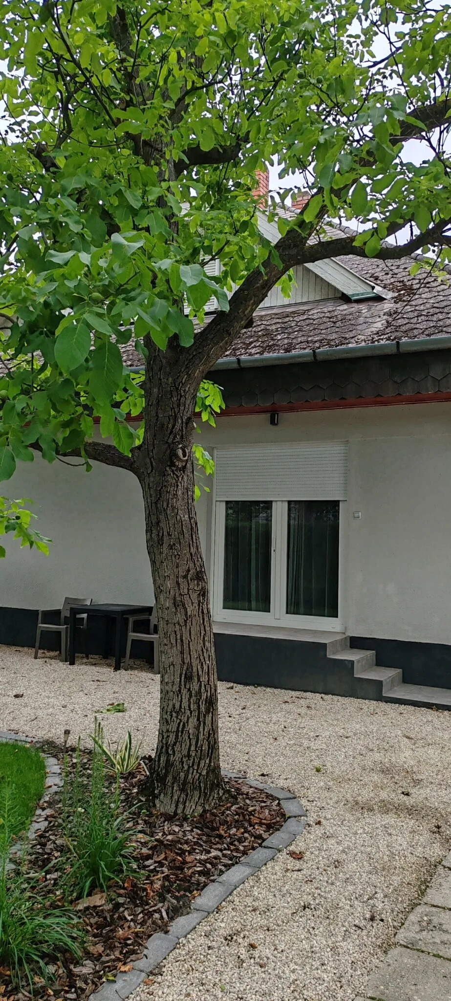 Paszér 2 Apartman Balatonboglár - foto 3