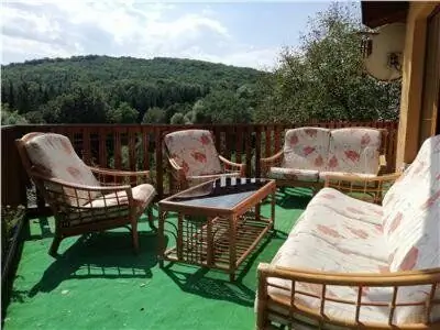 Vila Apollonia Valea Budului – Valea Budului, România