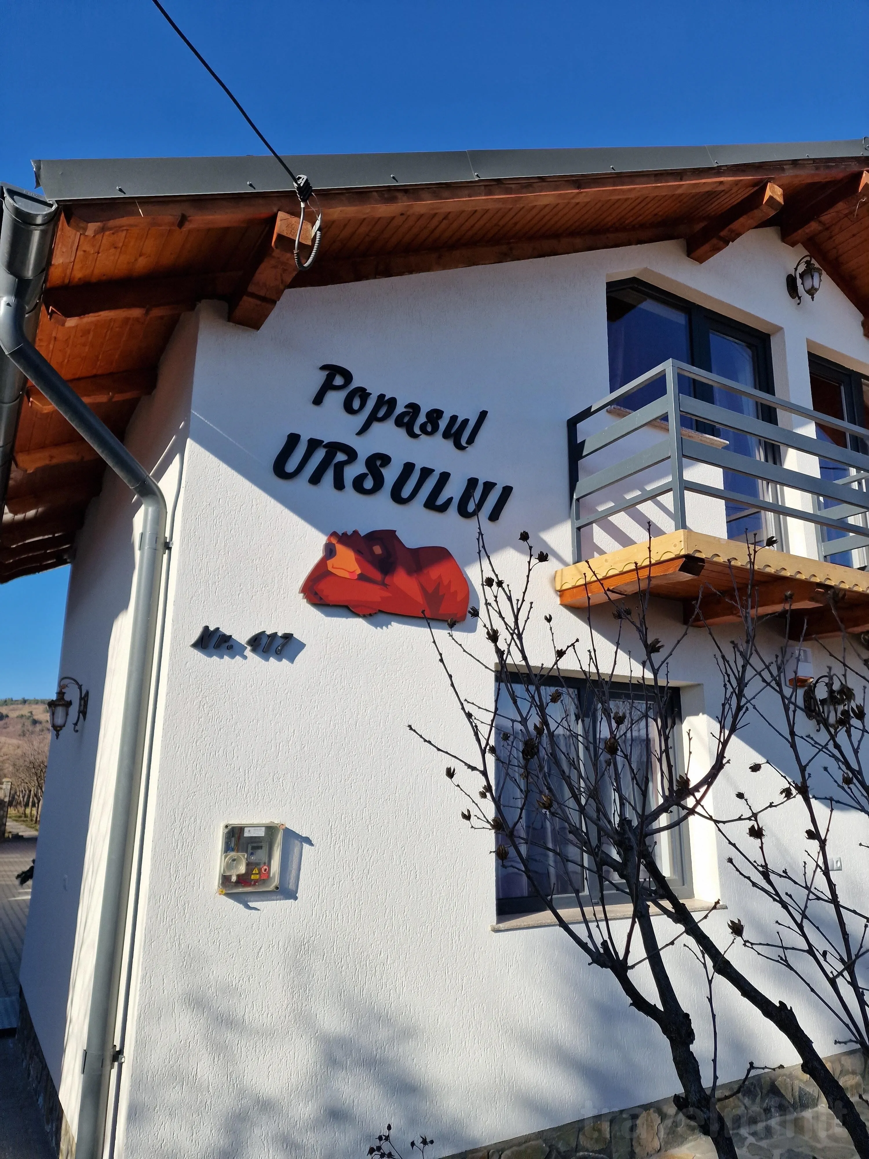 Popasul Ursului Zărnești - foto 1