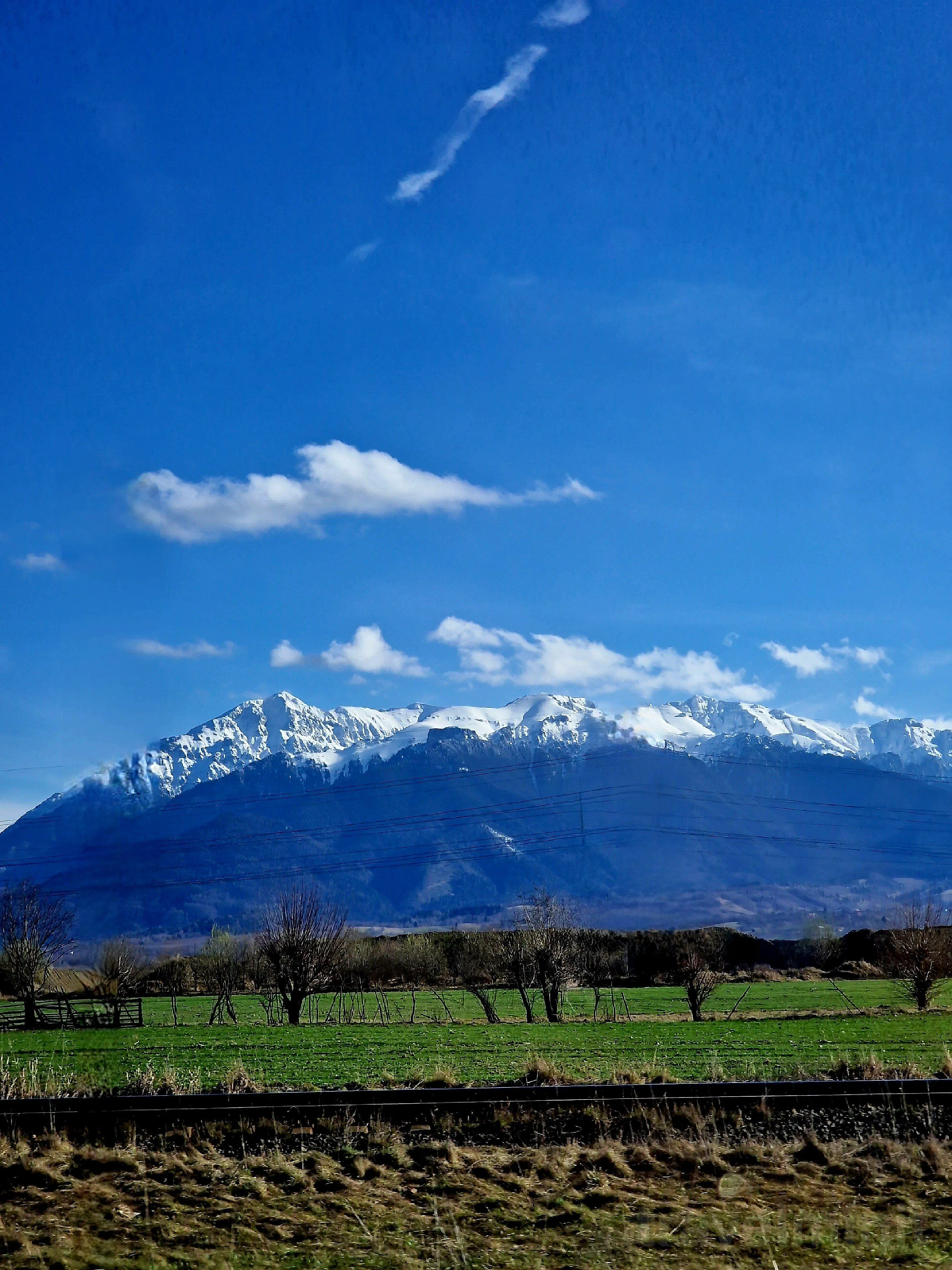 Popasul Ursului Zărnești - foto 2