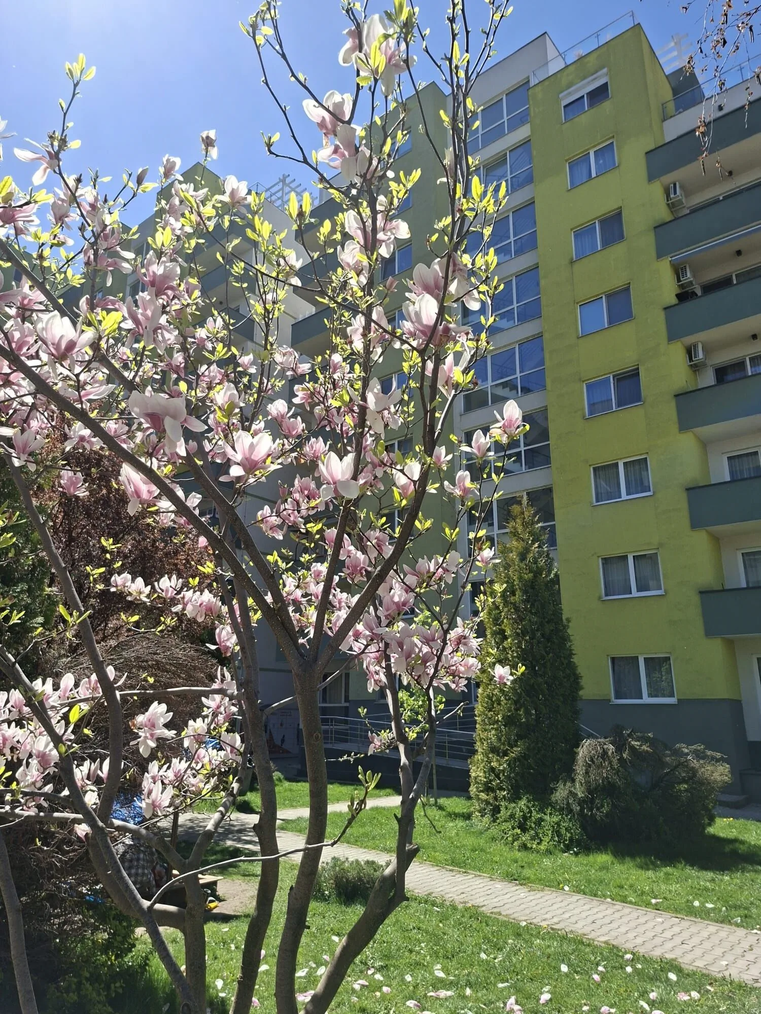Apartament C&C Brașov - foto 1