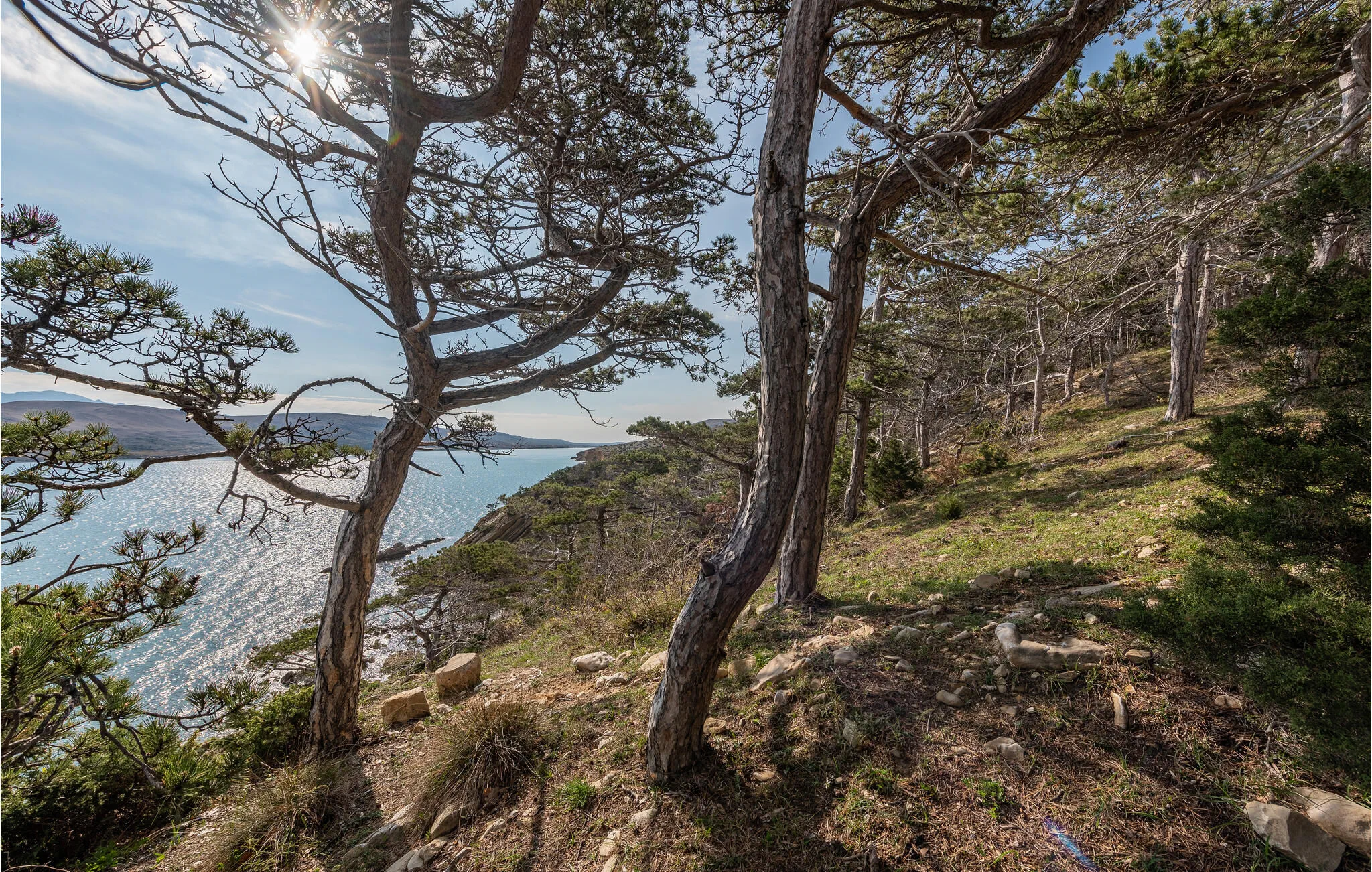 Apartman Novalja - CKP021 – Novalja, Chorwacja