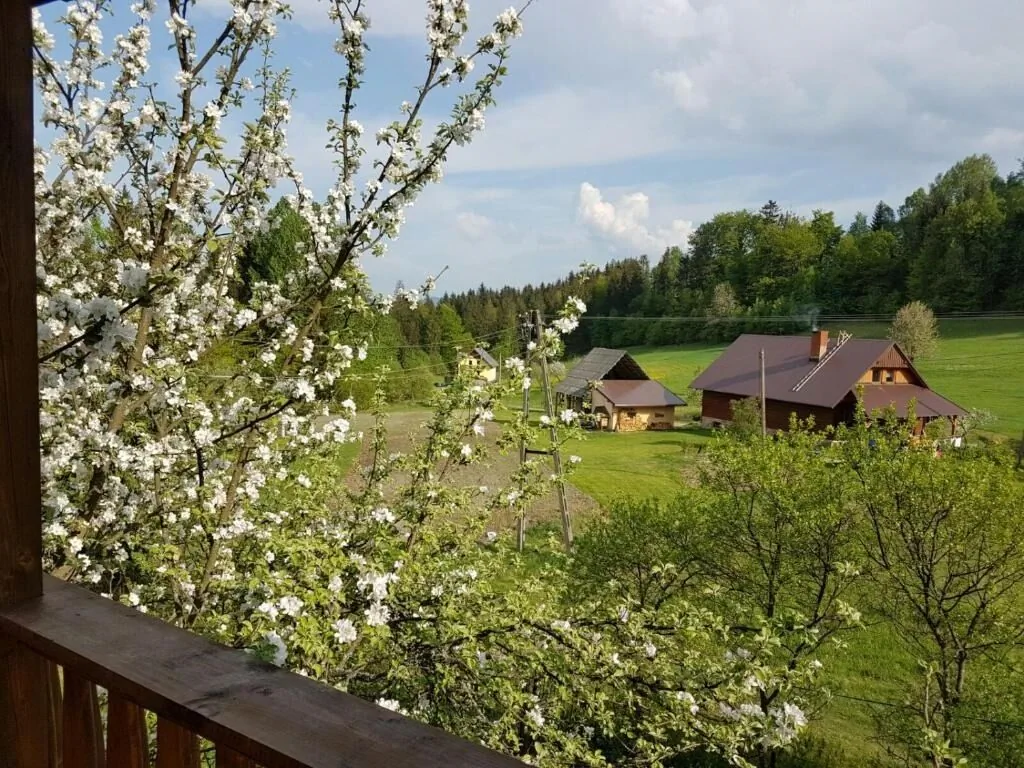 Gościniec Tokarzonka Istebna – Istebna, Polsko