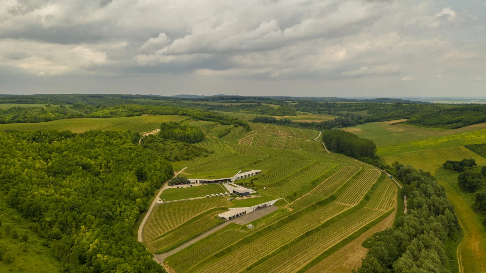 Lajver Borbirtok Szálka - foto 2