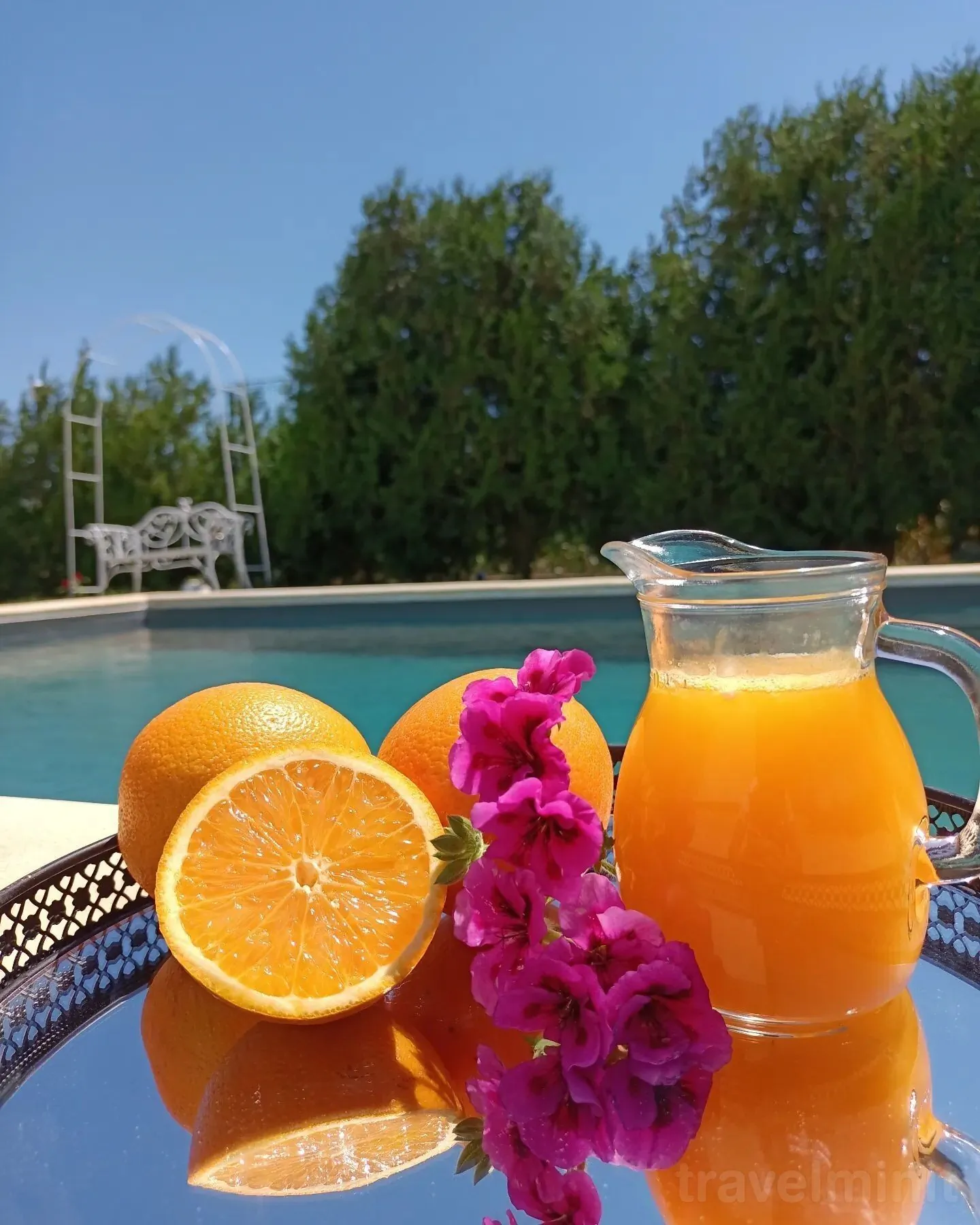 Reședința Prințeselor Vadu - foto 6