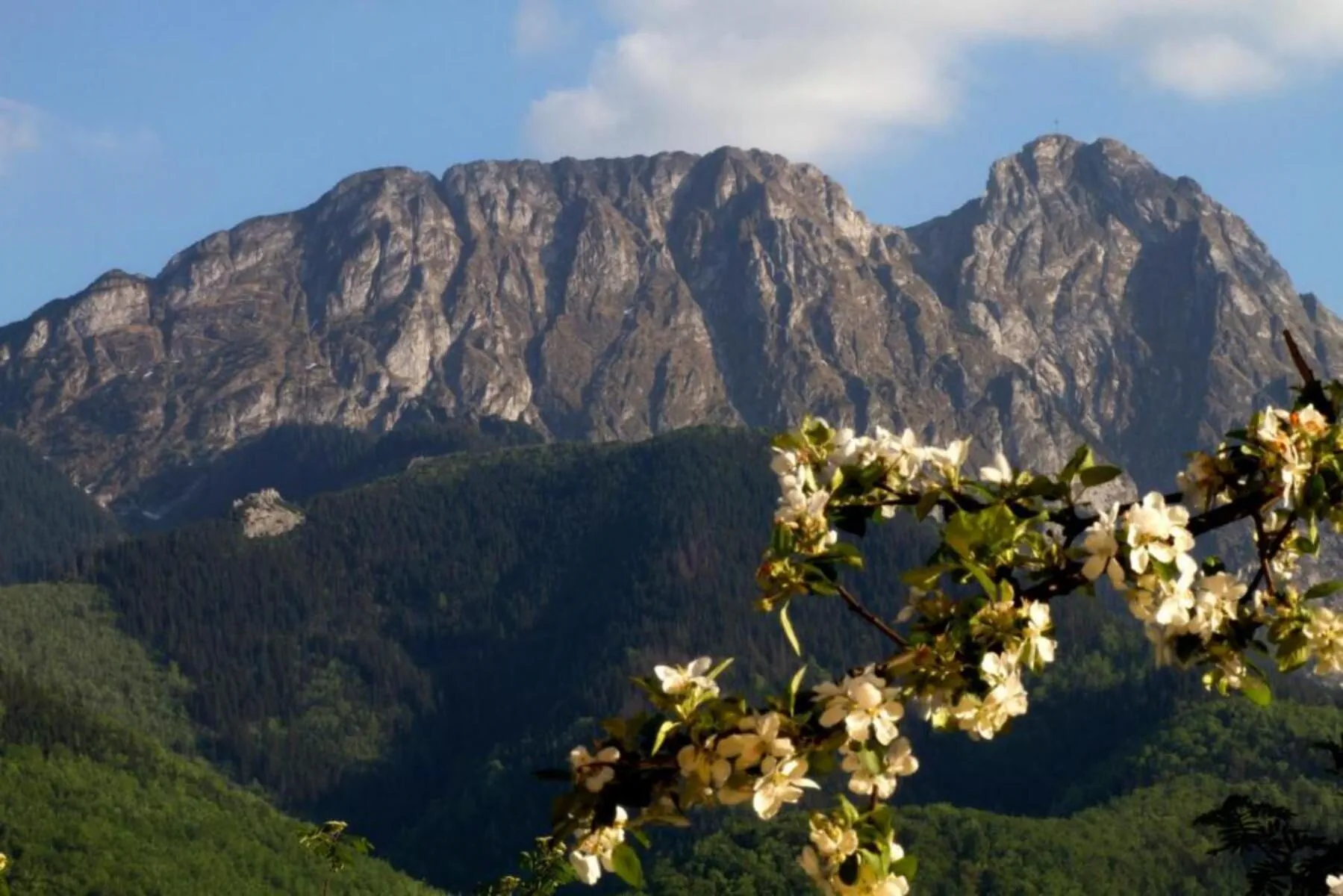 Willa Danuśka Zakopane – Zakopane, Polska