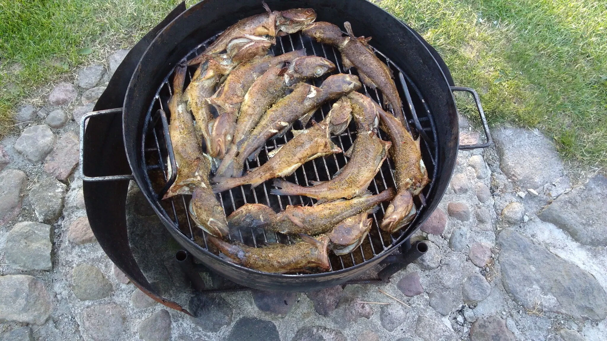 Agroturystyka Pod Strzechą Darłowo - foto 10