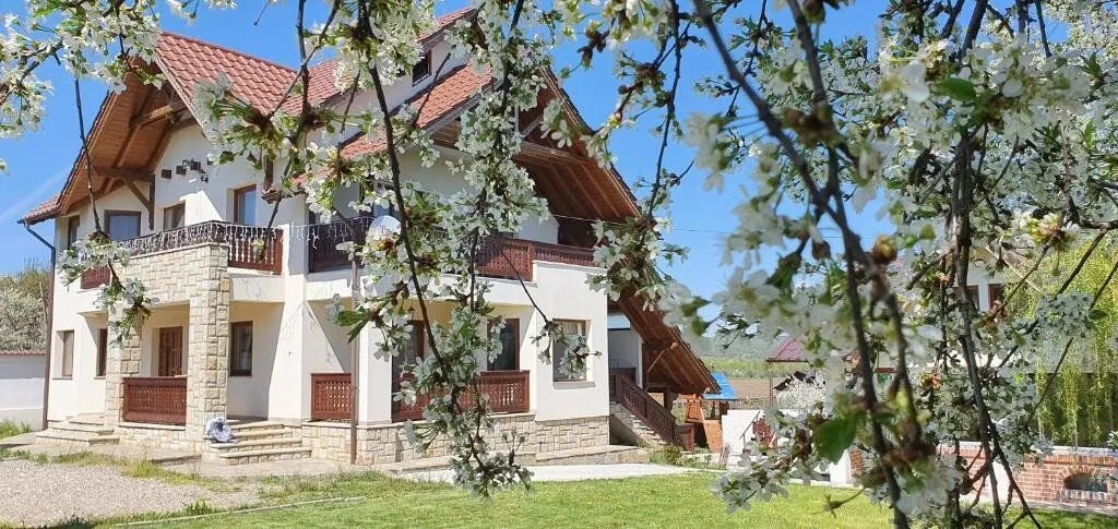 Pensiunea Zestrea Bunicilor Bodești - foto 1