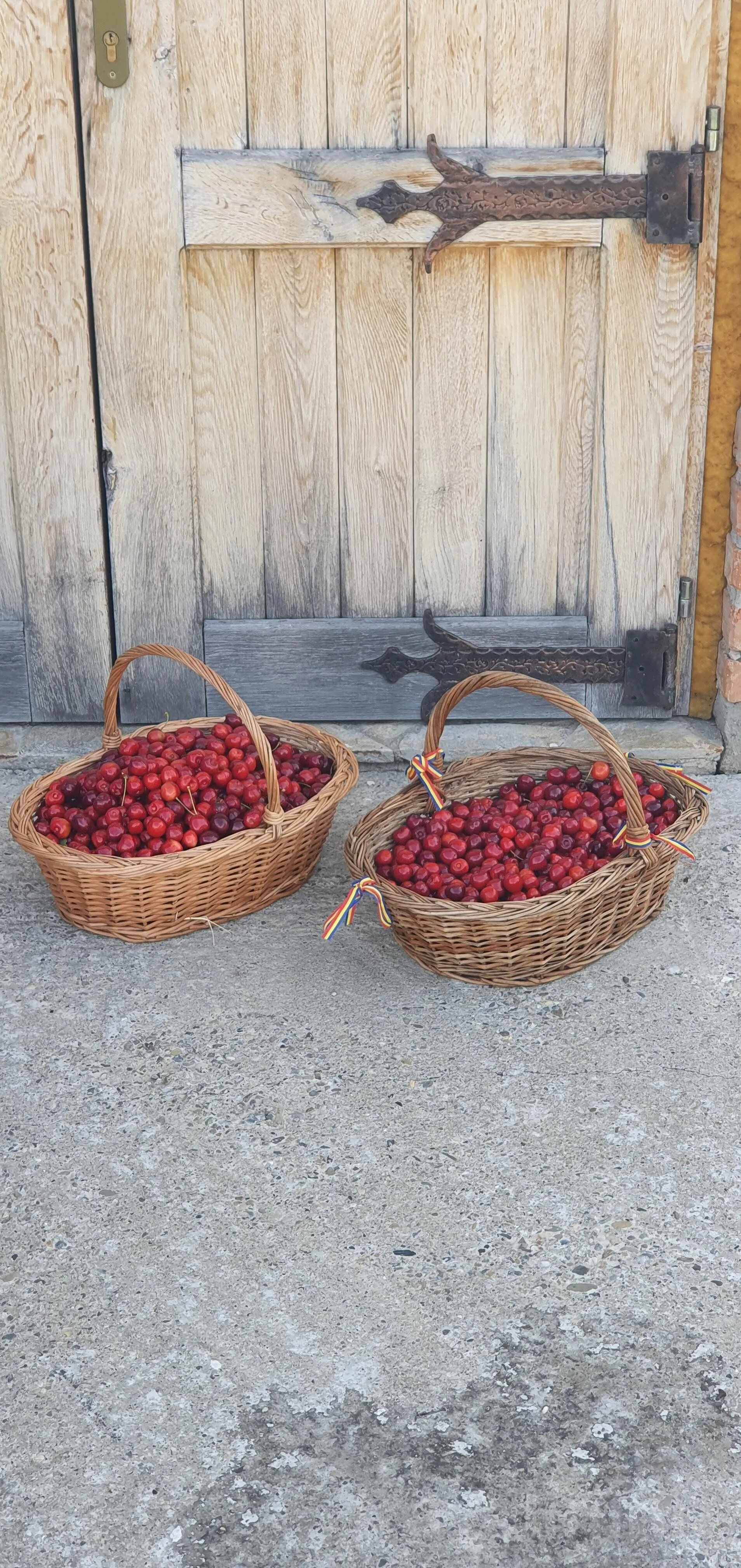 Pensiunea Zestrea Bunicilor Bodești - foto 3
