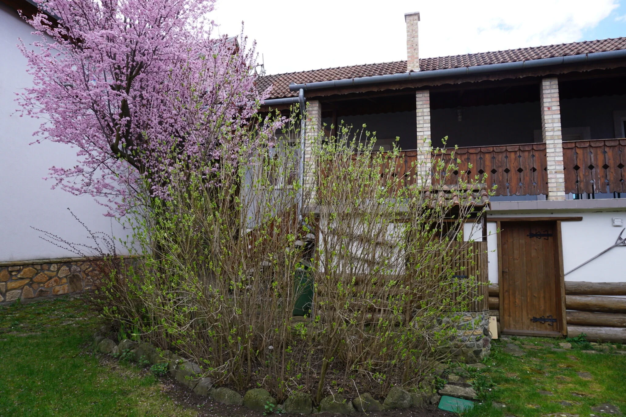 Bricskó Vendégház Szokolya – Szokolya, Maďarsko