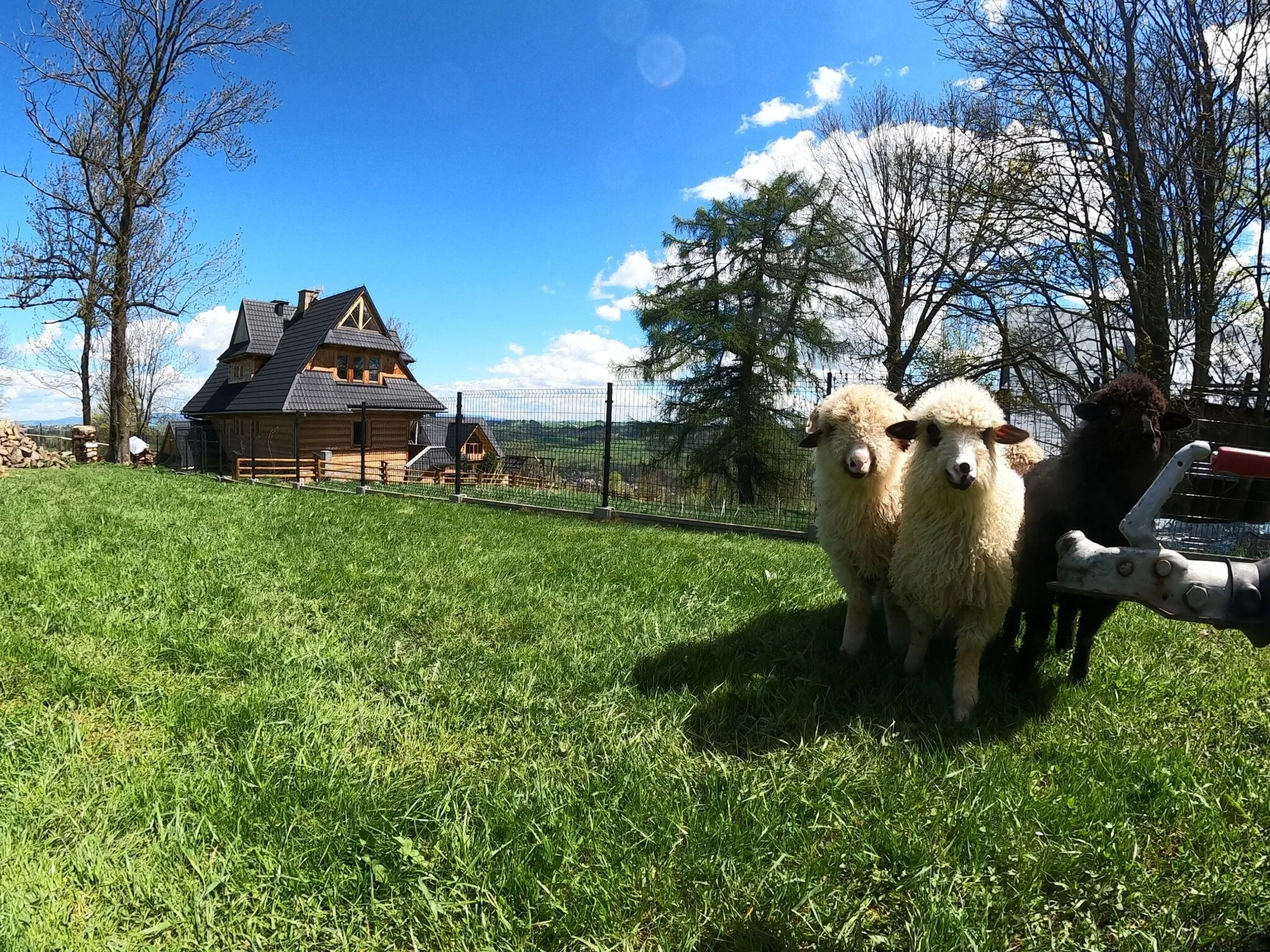 Domek całoroczny Galicówka na Górce do 23 os. Biały Dunajec – Biały Dunajec, Polonia