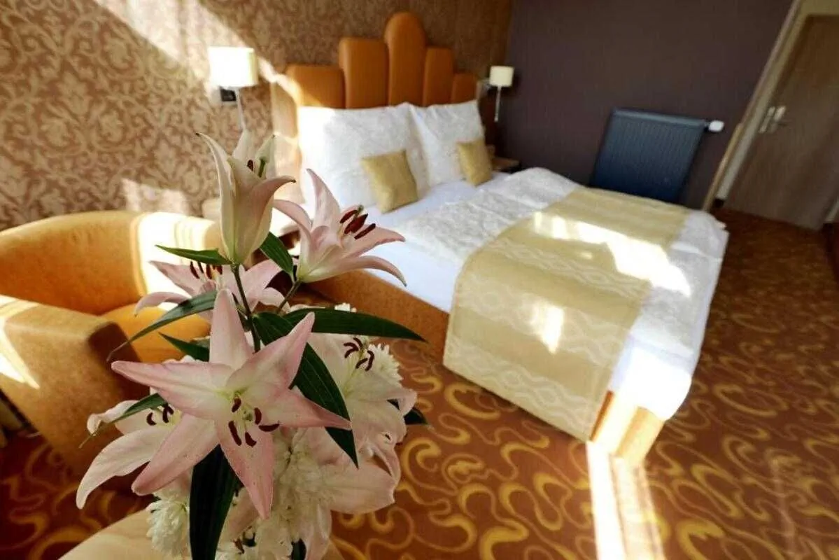 Hotel Zlatá včela Domažlice - foto 4