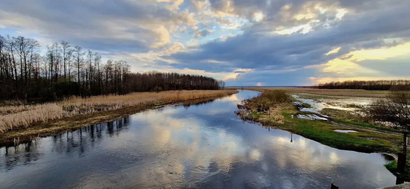 Agroturystyka KROK od Biebrzy Dolistowo - foto 6