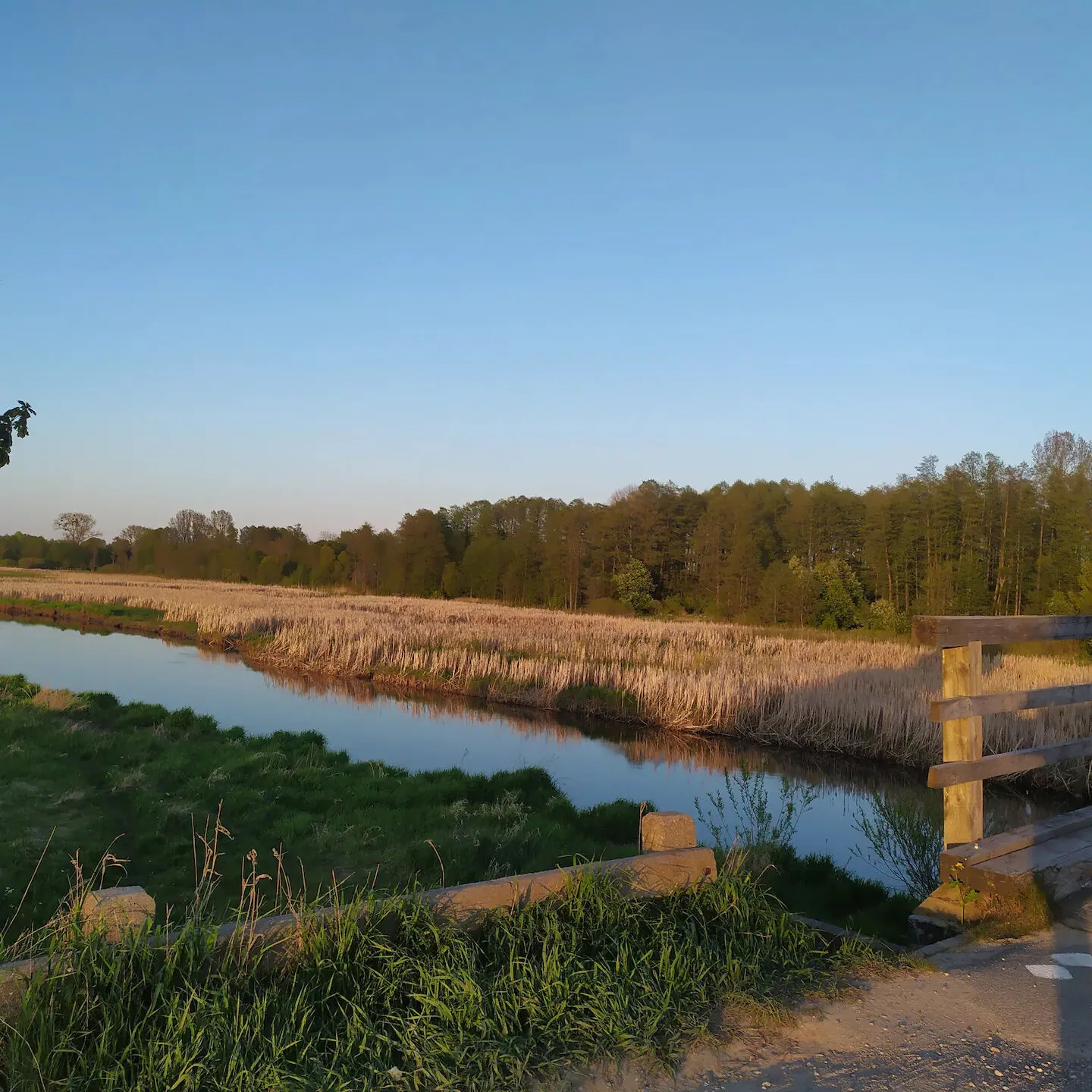 Agroturystyka KROK od Biebrzy Dolistowo - foto 8