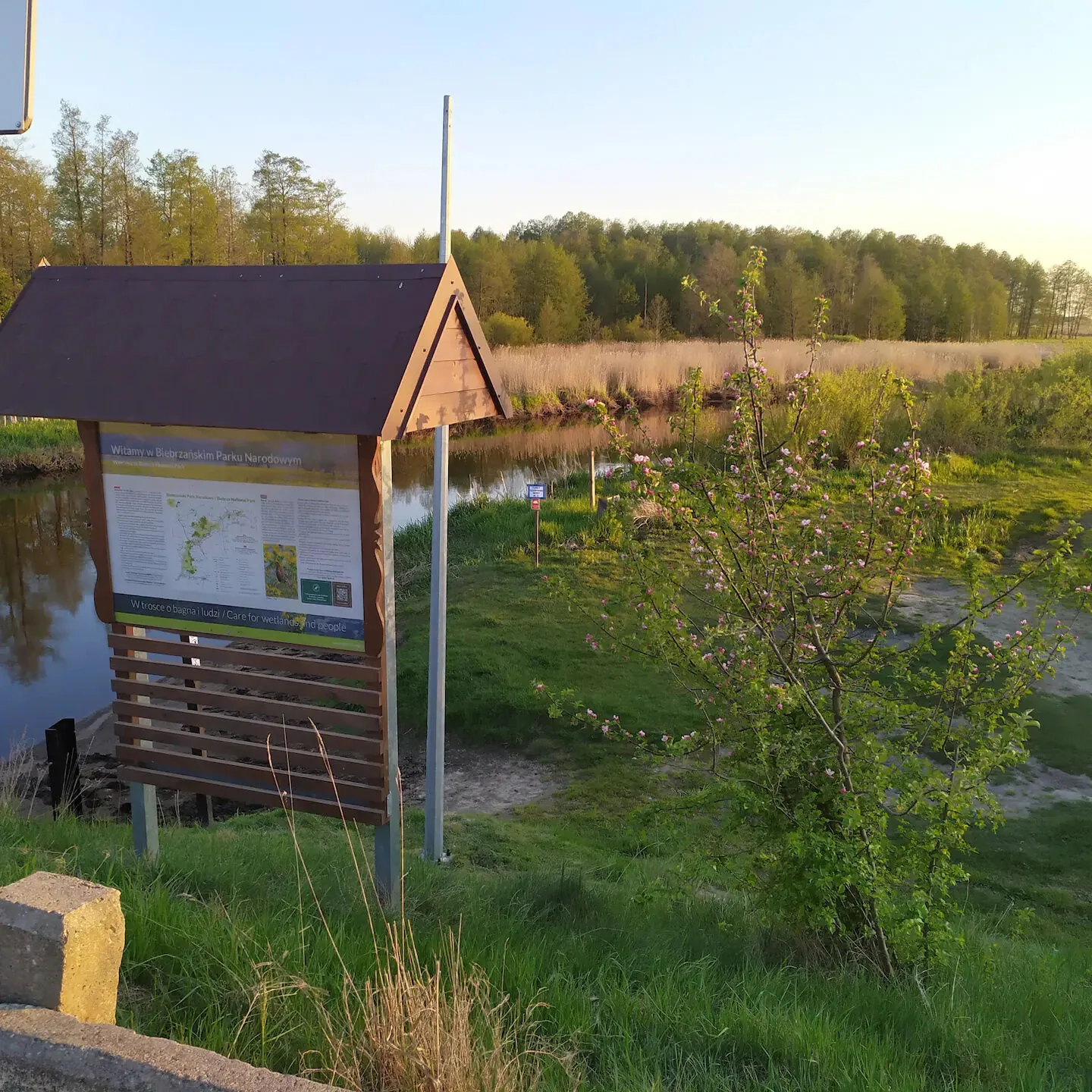 Agroturystyka KROK od Biebrzy Dolistowo - foto 9