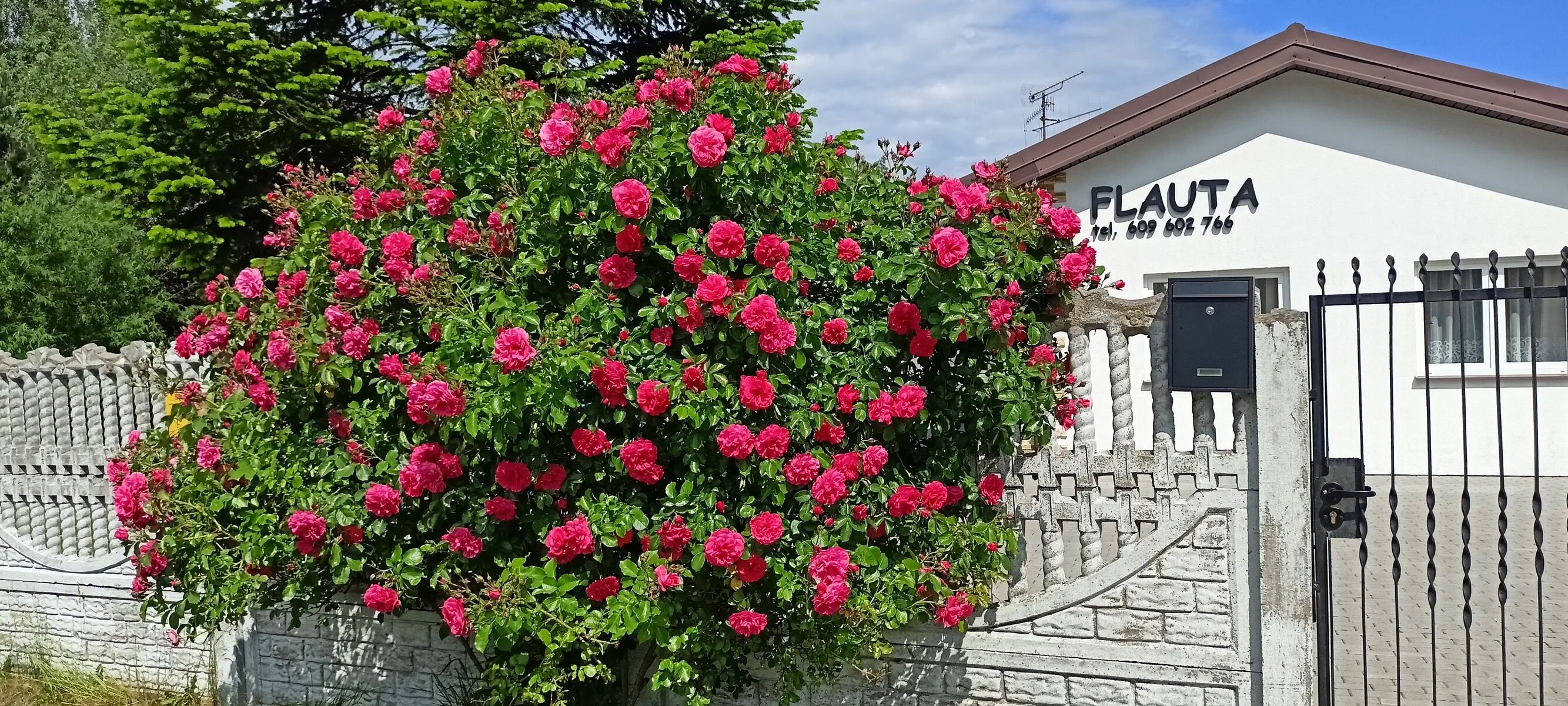 Flauta Apartamenty Rodzinne Mielenko – Mielenko, Polsko