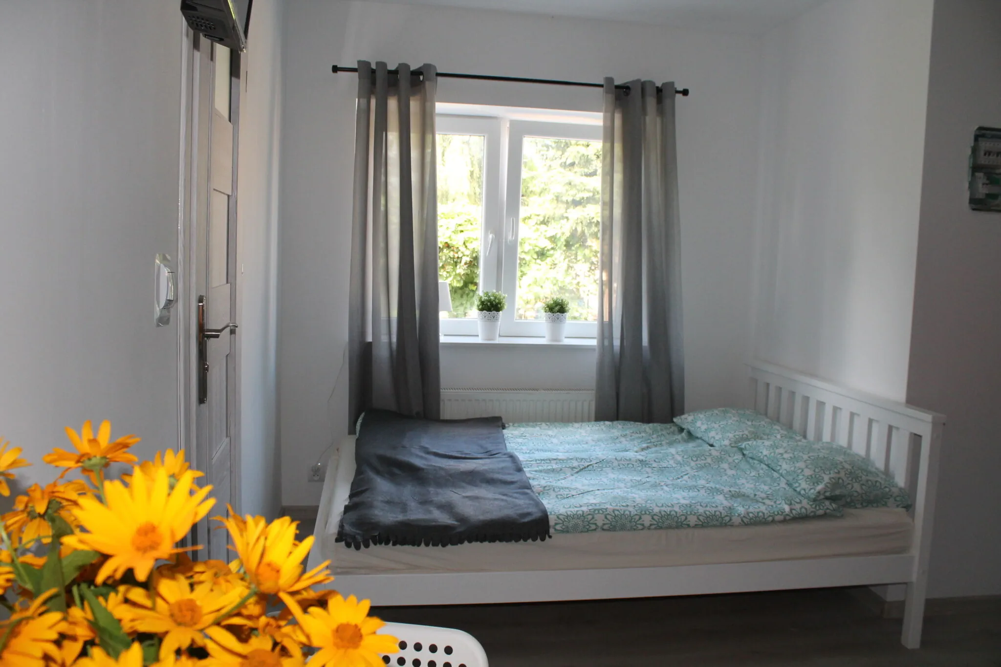 Aksamitka Sandomierz - apartamenty jednopokojowe – Sandomierz, Polska