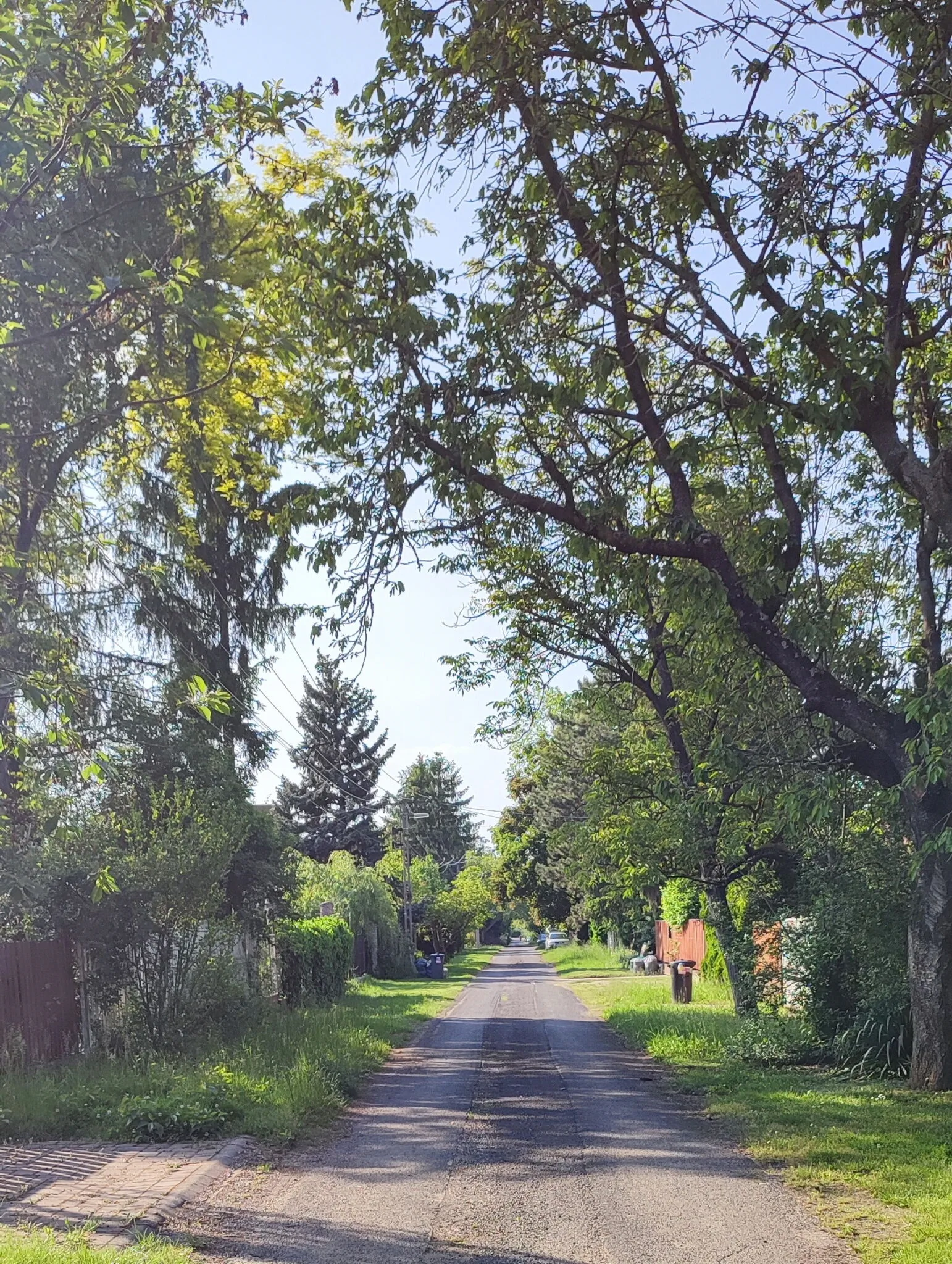 Liliomvölgy Vendégház Balatonaliga - foto 10