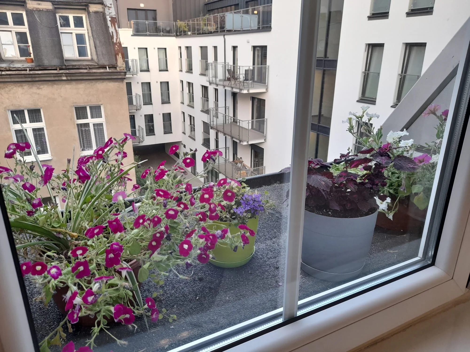 Apartament Garbary Poznań – Poznań, Polska