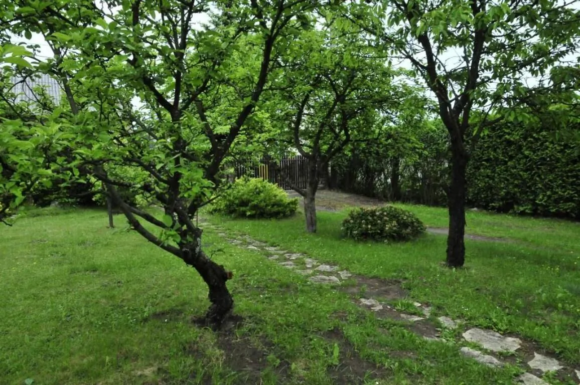 Szyszka i Róża Domek na Jurze Zelasko – Zelasko, Polsko
